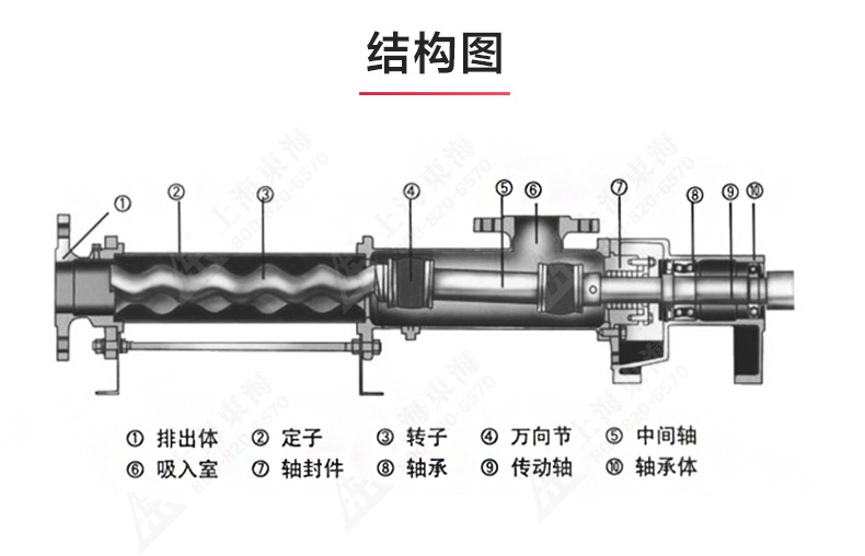 G型螺杆九州网_九州(中国)_九州网_九州(中国)结构图.jpg